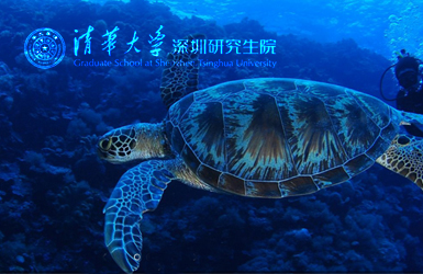 清華大學(xué)深圳研究生院案例圖片